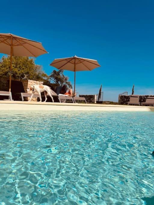 Dome Insolite Cedre Jacuzzi Et Petits Dejeuners Inclus Lagraulet-du-Gers エクステリア 写真