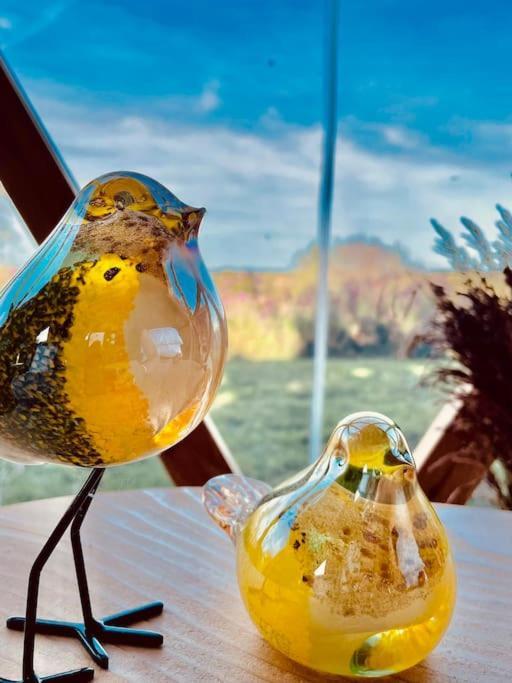 Dome Insolite Cedre Jacuzzi Et Petits Dejeuners Inclus Lagraulet-du-Gers エクステリア 写真
