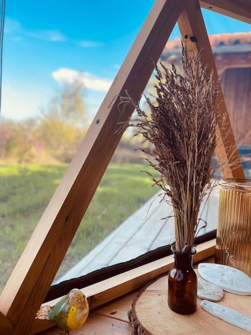 Dome Insolite Cedre Jacuzzi Et Petits Dejeuners Inclus Lagraulet-du-Gers エクステリア 写真