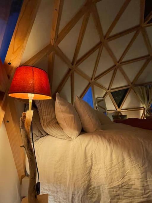 Dome Insolite Cedre Jacuzzi Et Petits Dejeuners Inclus Lagraulet-du-Gers エクステリア 写真